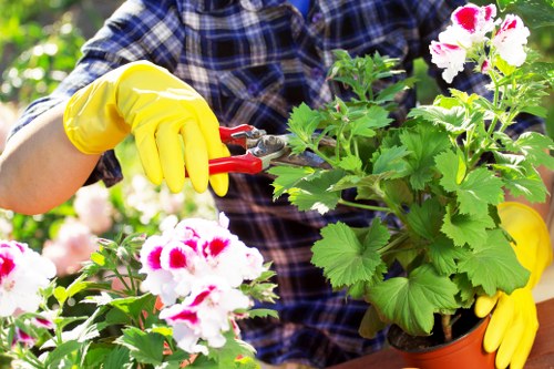 Volunteers tending an accessible community garden in Southwark with raised beds