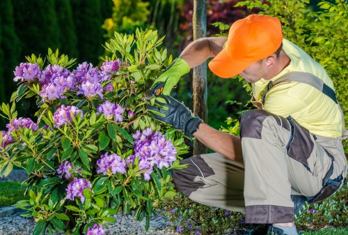 Gardening team briefing in a residential garden