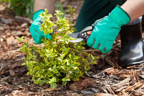 Operator using hedge cutter with protective gear