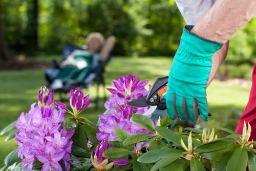 Wheelbarrow and green waste showing cubic-yard loads for garden clearance