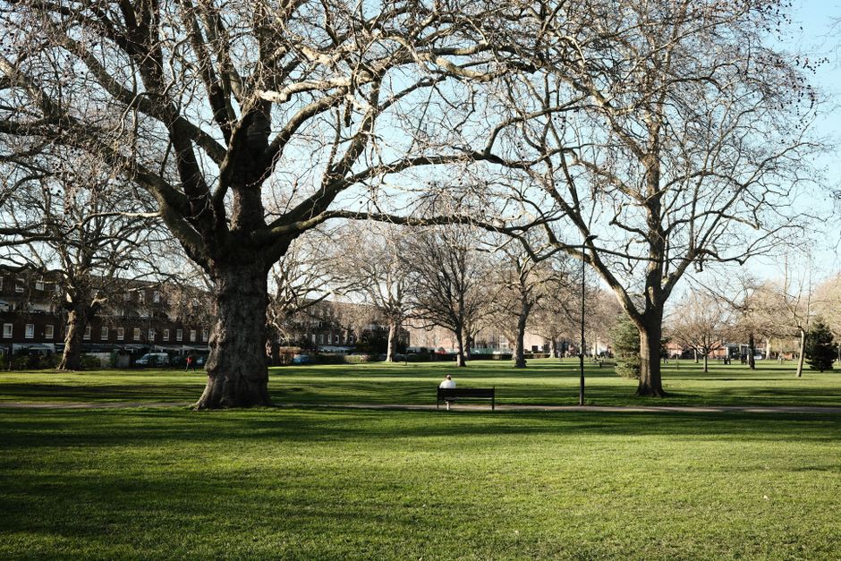 A spacious park area with a mixture of grass and bare soil patches, bordered by tall, leafy trees providing dappled shade on the ground. The scene includes a well-maintained lawn, with some areas appe